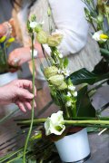 bloemen en planten vvbvanbree     1131